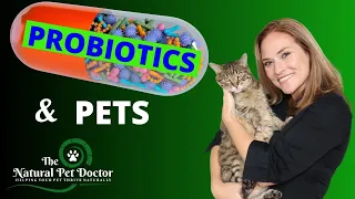 Probiotics and Your Dog and Cat with Dr. Katie Woodley - The Natural Pet Doctor