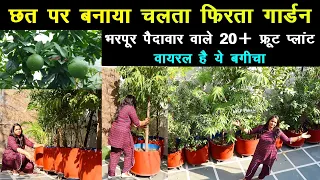 छत पर बनाया चलता फिरता गार्डन, लगाए 20 से ज्यादा फ्रूट प्लांट 🍏🍇 Fruit Garden on Terrace