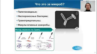 Вебинар Salmonella – проблема и решение.