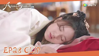 EP28 Clip| Sang Qi fainted again?! Wenyuan suspected that Yunzhi hid in Qi's home!|国子监来了个女弟子|ENG SUB