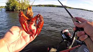 Fishing with Live Crawfish on Lake Martin (Spotted Bass)