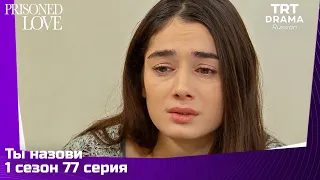 Ты назови Сезон 1 Серия 77