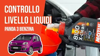 Controllo e rabbocco livello liquidi Panda 3 1.2 8V 📏