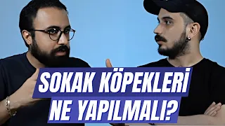 Sokak Köpekleri Sorunu Nasıl Çözülür?  Ateş Ölçer 22