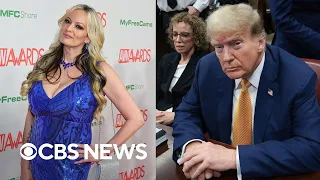 Stormy Daniels takes stand in Trump trial