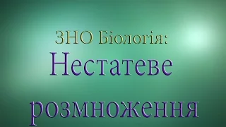 ЗНО Біологія  нестатеве розмноження