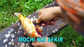 MOCHI KOI AFKIR | JEJAK SI GUNDUL (28/08/23)