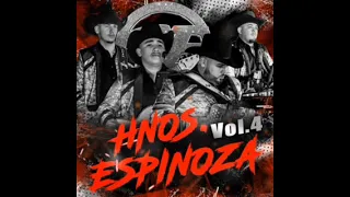 Hermanos Espinoza - Hnos Espinoza Vol 4 (Album Completo)