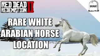 Rare White Arabian Horse Location Red Dead Redemption 2