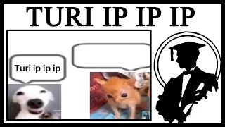 Why Is "Turi ip ip ip" The Best Song Of All Time?