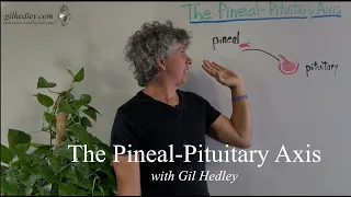 The Pineal-Pituitary Axis: Learn Integral Anatomy with Gil Hedley