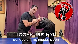 Togakure Ryu Ninjutsu,  Hidari Tonso no Kata