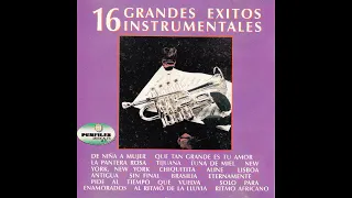 16 GRANDES EXITOS INSTRUMENTALES La pantera rosa