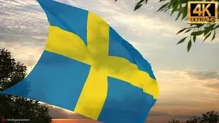 Swedish Flag & National Anthem 4K [CC]