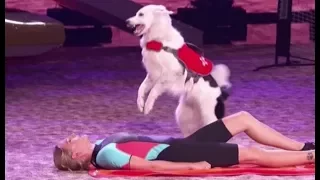 Sara & Hero: An EPIC Rescue Dog Act....Then The Dogs Go Off-Script | America's Got Talent 2017