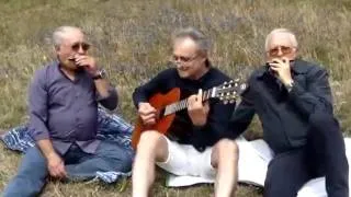 LA LUNA NEL RIO - DUE ARMONICHE E CHITARRA