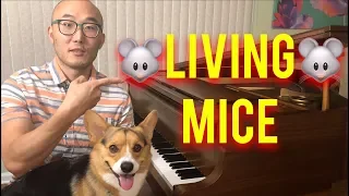 🔴How to Play “Living Mice” on Piano (Minecraft) [Free Intermediate Piano Lesson]