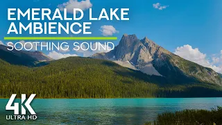 8 HOURS Emerald Lake Birds Chirping - Birds & Gentle Lake Sounds to Calm Down and Relax