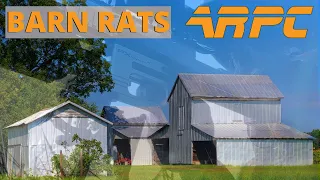 Barn Rats - Air Rifle Pest Control