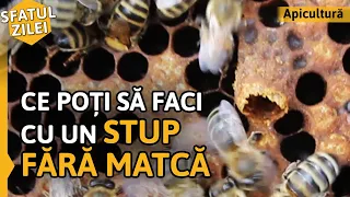 Ce poți să faci cu un STUP FĂRĂ MATCĂ [Sfatul zilei]