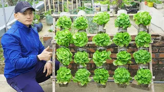 Transform Plastic Bottles into a Thriving Lettuce Vertical Garden