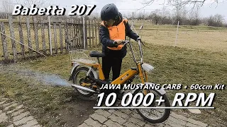 60ccm Jawa Babetta 207 with 16mm Jawa Mustang Carb reaching 10 000+ rpm