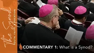 Word from Rome - Commentary #1 - What Is a Synod?