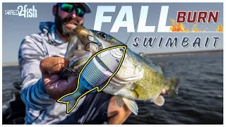 How To Fish Multi-jointed Swimbaits for Fall Bass