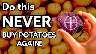 We planted a lifetime supply of potatoes start to finish… SHOCKED weeks later at what we found!
