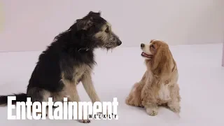 The Furry Stars Of 'Lady And The Tramp' Tell All | PeopleTV | Entertainment Weekly