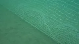 Underwater view of Fish Hoek shark exclusion net