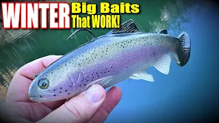 BIG Winter Bass Eat BIG Winter Baits