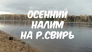 Ловля налима на р.Свирь