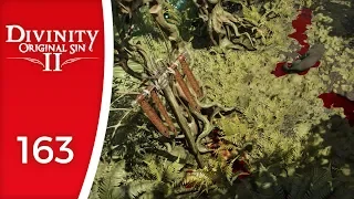 That chicken got big... quick! - Let's Play Divinity: Original Sin 2 #163