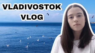 Live in the Far East: sea gulls, fur seals and lots of sea food in Vladivostok