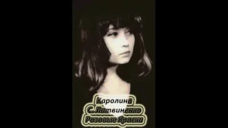 Каролина. (Света Литвиненко) Розовые Краски.  В живую на сцене.