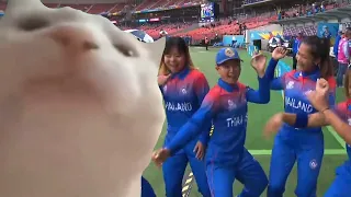 Vibing cricketers, vibing cat