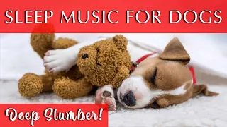 Sleeping Music for Deep Sleeping for Dogs and Humans | Black Screen!