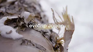 evoTrip Japan