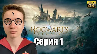 Открываем Наследие Хогвартс На ПК! | Hogwarts Legacy ПРОХОЖДЕНИЕ НА РУССКОМ | Стрим #1