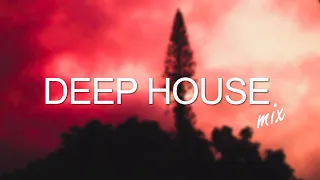 Deep House Mix 2022 Vol.1 | Best Of Tropical House Music | Mixed By NFD