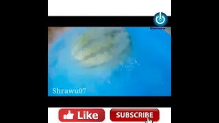 Boiling Watermelon in Hot Oil _ Freezing It _ What Will happen#shorts #shrawu07 #crazyxyz