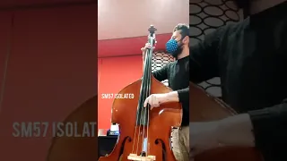 SM57 on Double Bass Live Recording