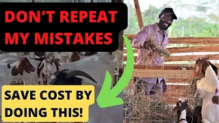 DON'T MAKE THIS MISTAKE- Making A Feeder For Goats and Sheep