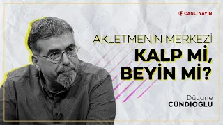 Akletmenin Merkezi Kalp mi, Beyin mi?