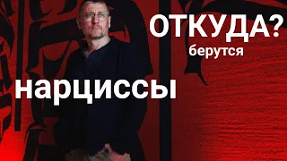 Откуда берутся нарциссы?