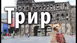 Trier —  the oldest city in Germany (Travel with dog by car)