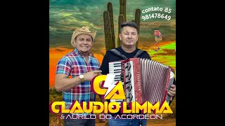 FORRO PÉ DE SERRA DE INTERIOR AO VIVO - Claudio limma & Aurilio do acordeom