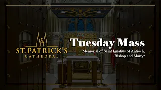 Tuesday Mass - October 17th 2023