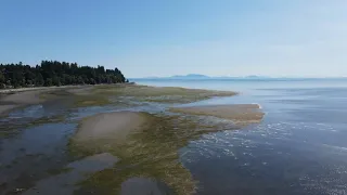 Drone Shots of Low Tide at Crescent Beach in Surrey, BC